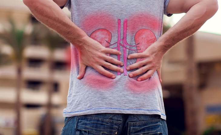 Yetişkin Böbrek Hastalıkları